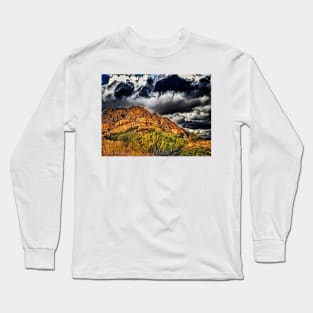 Point Me In The Direction Of Albuquerque – Graphic 1 Long Sleeve T-Shirt